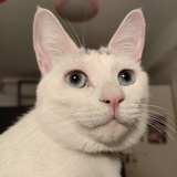 ethyne