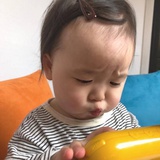 不爱吃香菜