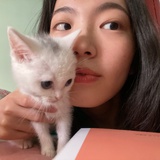 弄弄妈