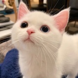 可乐奶茶气泡水