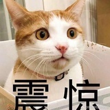 夜苏