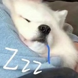 一只修狗