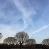 上下其音
