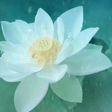 潘朵拉