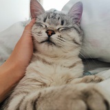 云起