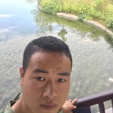六条