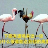 今晚暴富