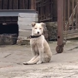 已注销
