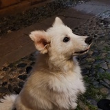 昵称
