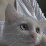除你武器