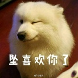 且放白鹿青崖间