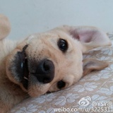 豆友155680003