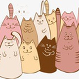 Kat和她的朋友