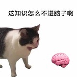 居生不乐