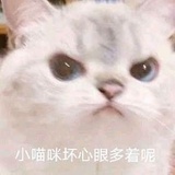 土味挖掘机