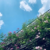大朋友