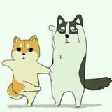三寸光阴