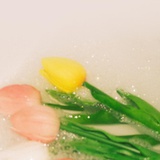 菲然fri