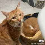 我小三轮儿呢