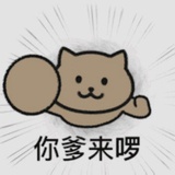 穷酸蛤蟆