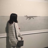 未闻花事了