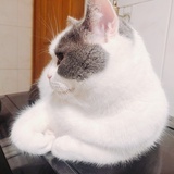 喝水能饱