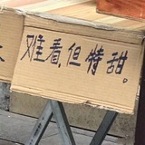 大脸