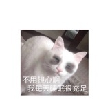 劫墨成灰