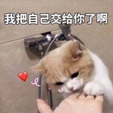 有趣就好