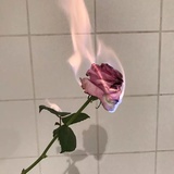 宝沃