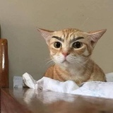 跑累了歇会儿