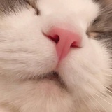 突突突突突突突