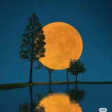白夜童话