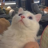 念念