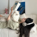 关于姜北