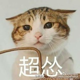 脸圆圆