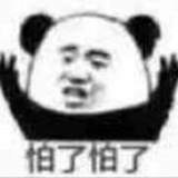 sg----