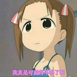 白日梦想家xi