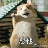 呸呸呸