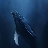 一支麻