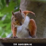 潇小晨