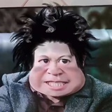 满载一船星辉