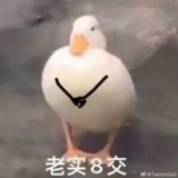 火山飞雪