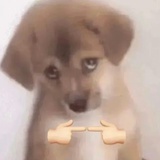 修达达滴滴