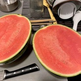 未注销