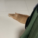 千寻