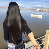yy