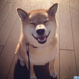 道风