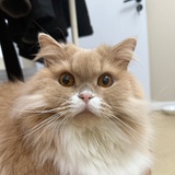 㜜·諳