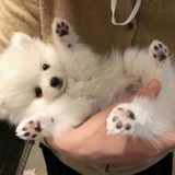穿过你的黑发
